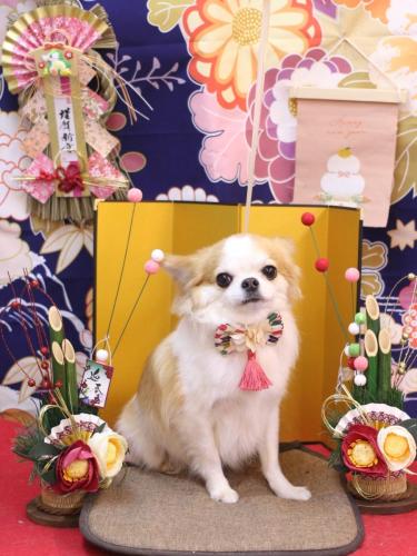 20240127くうくん